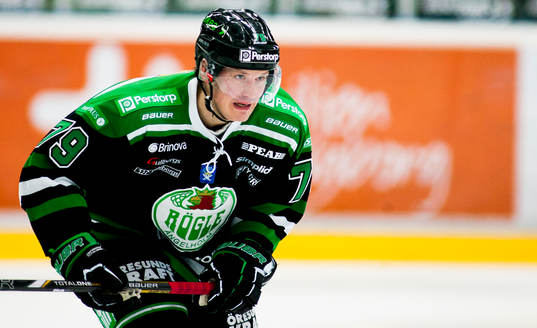 Fredrik Warg, Rögle