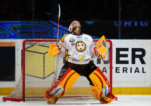 Johan Holmqvist, målvakt, Brynäs, jublar på slutsignalen