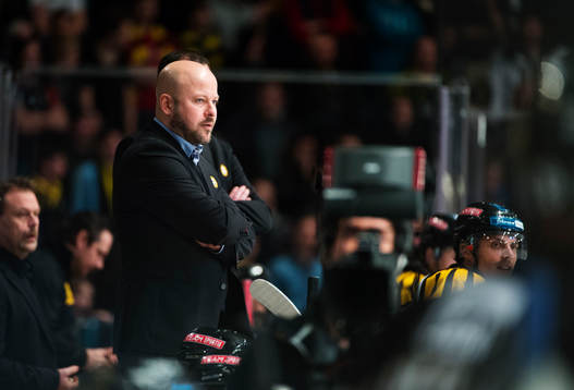 Tommy Jonsson, tränare Brynäs