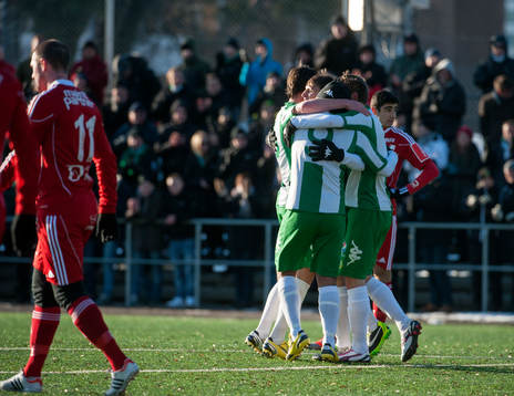 Hammarby-spelarna jublar