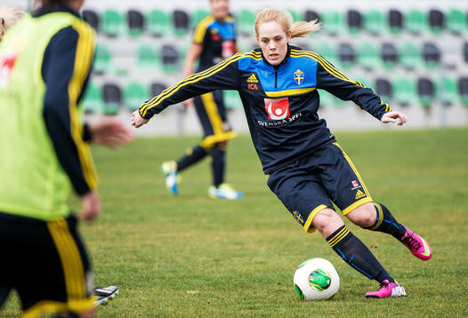 Carina Holmberg, Sverige