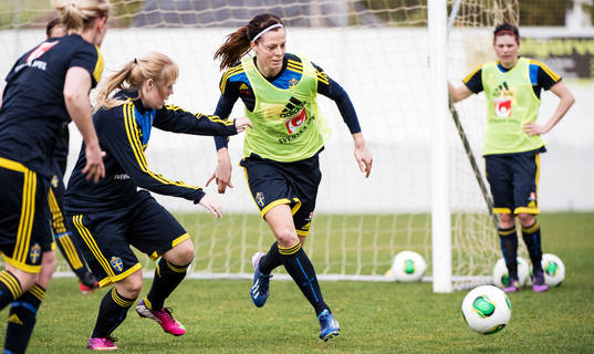 Lotta Schelin, Sverige