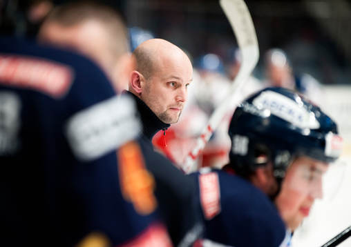 Tony Zabel, tränare Djurgården