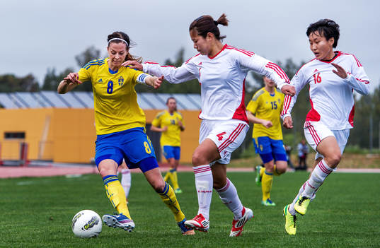 Lotta Schelin, Sverige