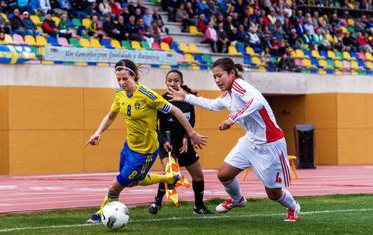 Lotta Schelin, Sverige