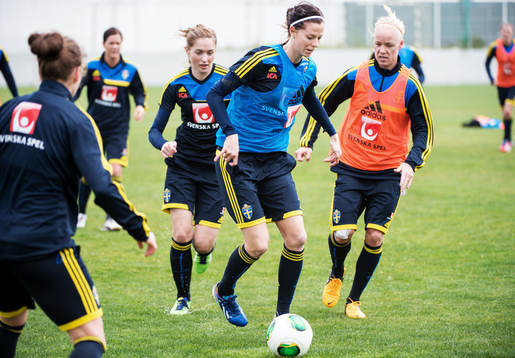 Lotta Schelin, Sverige