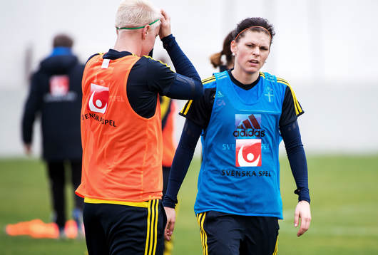 Susanne Moberg, Sverige