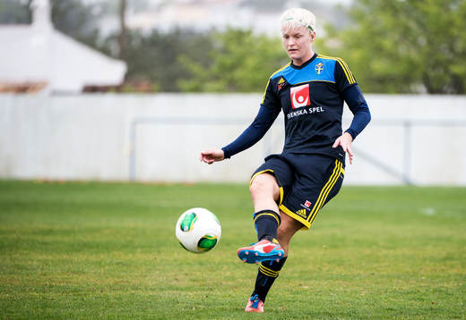 Nilla Fischer, Sverige