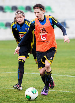 Susanne Moberg, Sverige