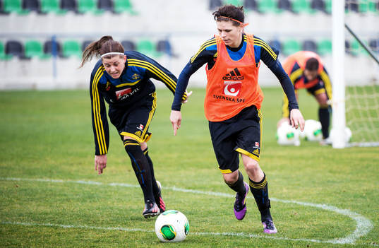 Susanne Moberg, Sverige