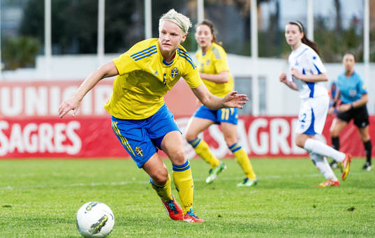 Nilla Fischer, Sverige