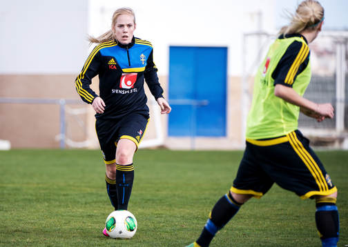 Carina Holmberg, Sverige