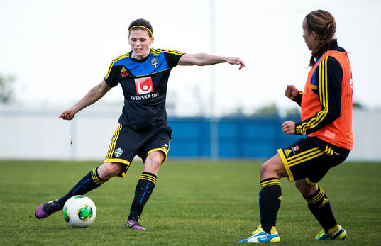 Susanne Moberg, Sverige