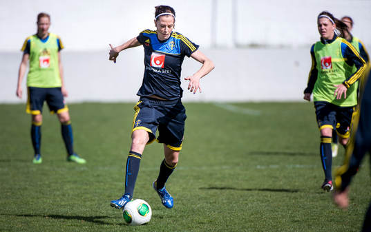 Lotta Schelin, Sverige