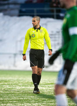 Mohammed Al-Hakim, Domare