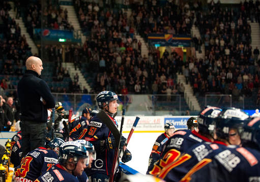 Tony Zabel, tränare Djurgården