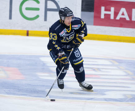 Elias Fälth, HV71