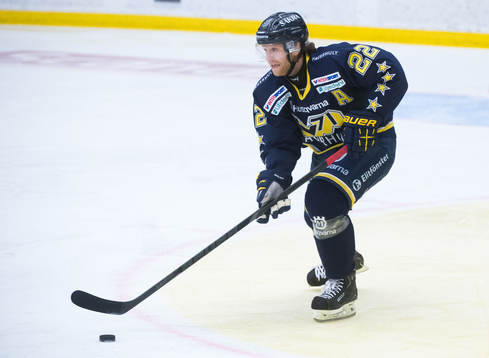 David Petrasek, HV71