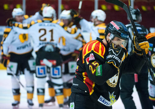 Martin Johansson, Brynäs, deppar