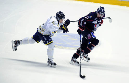 HV71 nr 8 Rhett Rakhshani