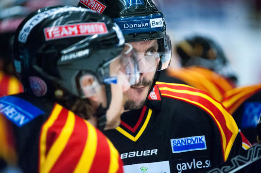 Daniel Widing, Brynäs