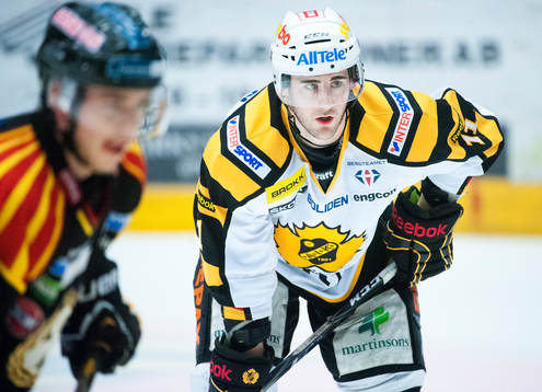 Bud Holloway, Skellefteå