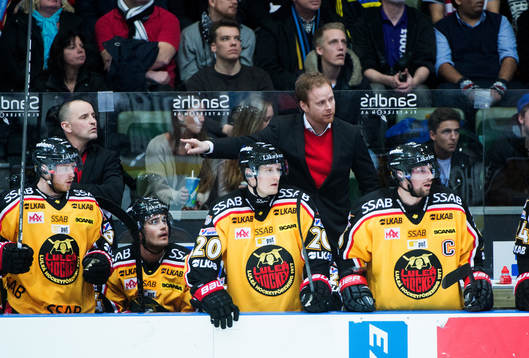Johan Rönnqvist, tränare Luleå