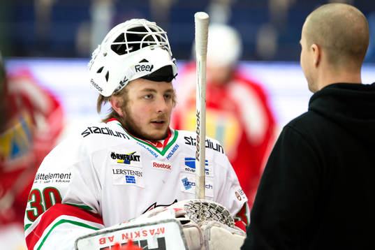 Linus Ullmark MODO , porträtt