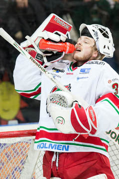 Linus Ullmark MODO , porträtt