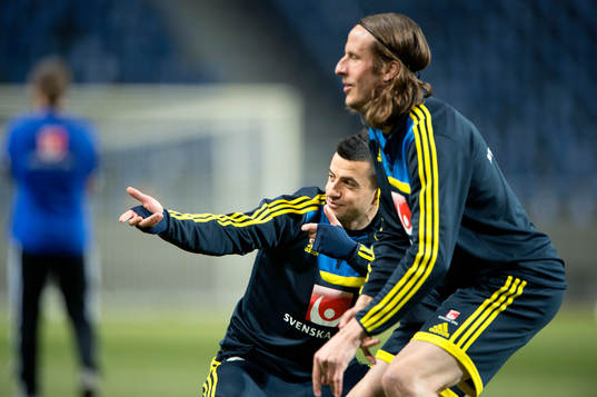 Behrang Safari och Jonas Olsson, Sverige