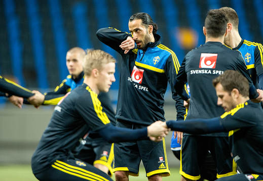 Erkan Zengin, Sverige