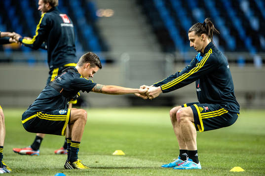 Zlatan Ibrahimovic och Mikael Lustig, Sverige