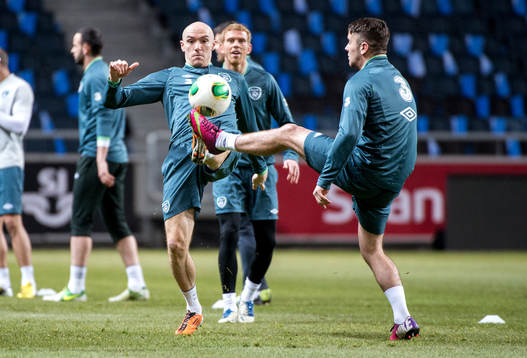 Conor Sammon, Irland