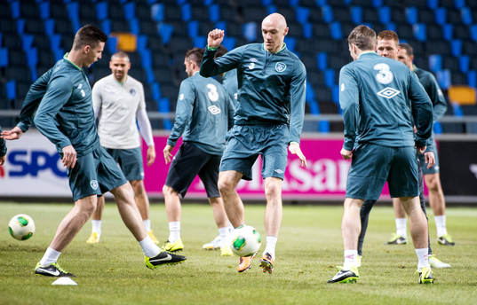 Conor Sammon, Irland
