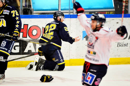 David Petrasek, HV71