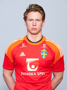 Niclas Hedström, Målvakt
