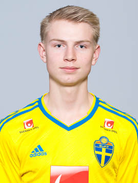 Hannes Ahlqvist