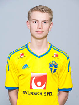 Hannes Ahlqvist