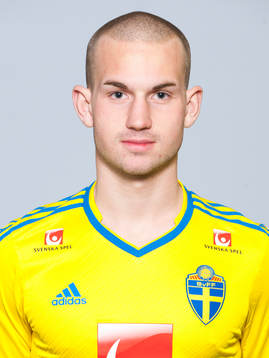 Sebastian Starke Hedlund