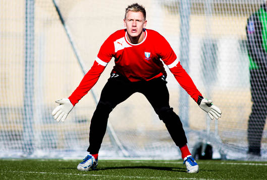 Johan Dahlin, målvakt, Malmö FF