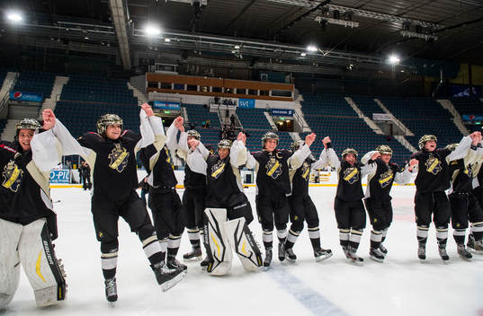 Ishockey, Riksserien, Dam, AIK - Brynäs