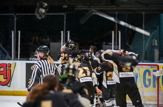 AIK kastar handskar och klubbor och skriker ut sin glädje