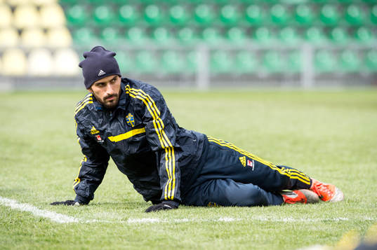 Erkan Zengin, Sverige