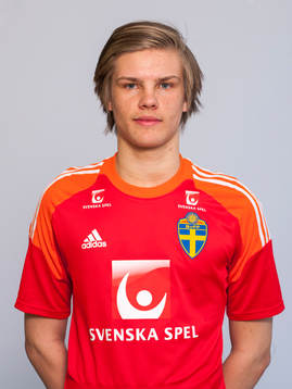 Bläddra bland fler bilder av Fotboll, Sverige, porträtt, P16/P97