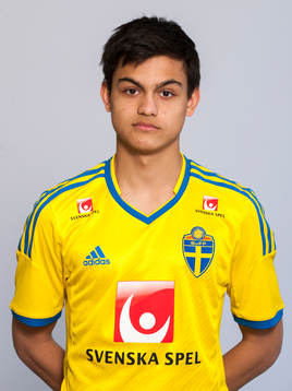 Alexander Hylander Güll