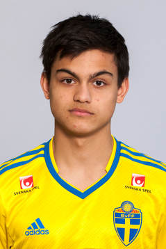 Alexander Hylander Güll
