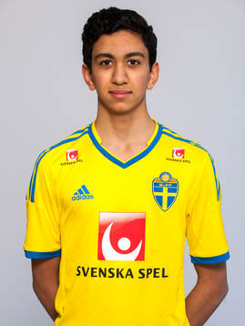 Amir Al-Ammari