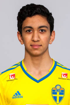 Amir Al-Ammari