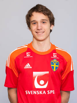 Ivan Gibanica, målvakt