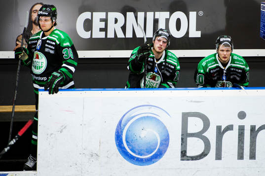 Christopher Liljewall, Viktor Lindgran, Rögle, deppar i